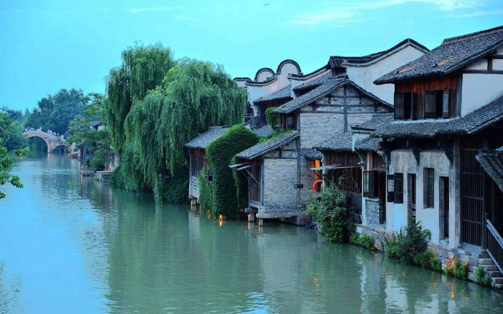 牢牢守住耕地红线！高州市荷花镇牛蛙养殖场完成清退整改